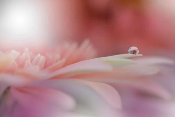 rosegold-009